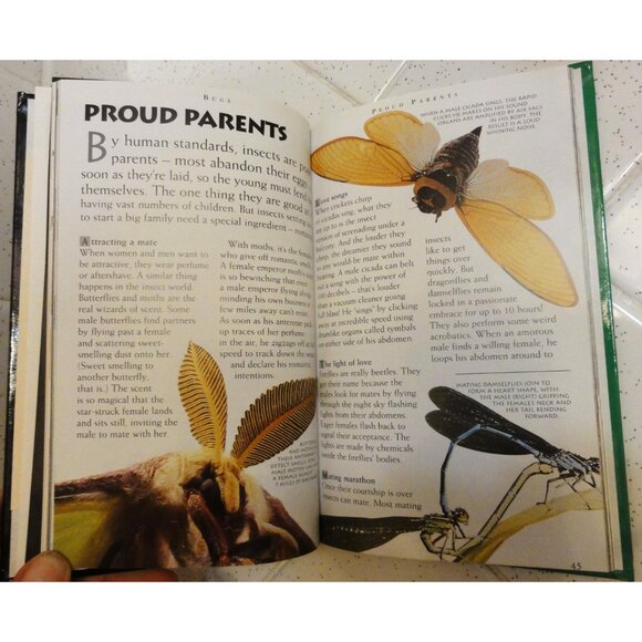 Vintage Secret Worlds Bugs A Close Up View of the Insect World Hardcover Book - Picture 9 of 16